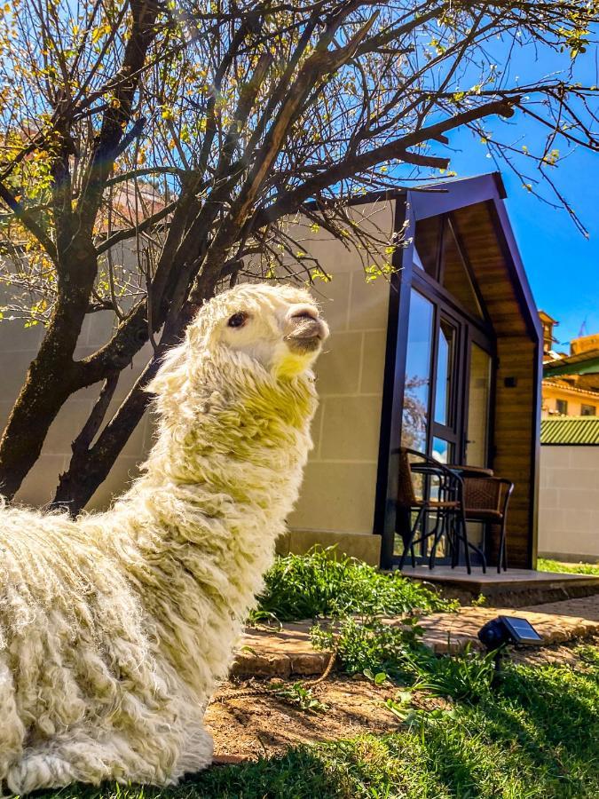 Cabin & Garden San Blas クスコ エクステリア 写真